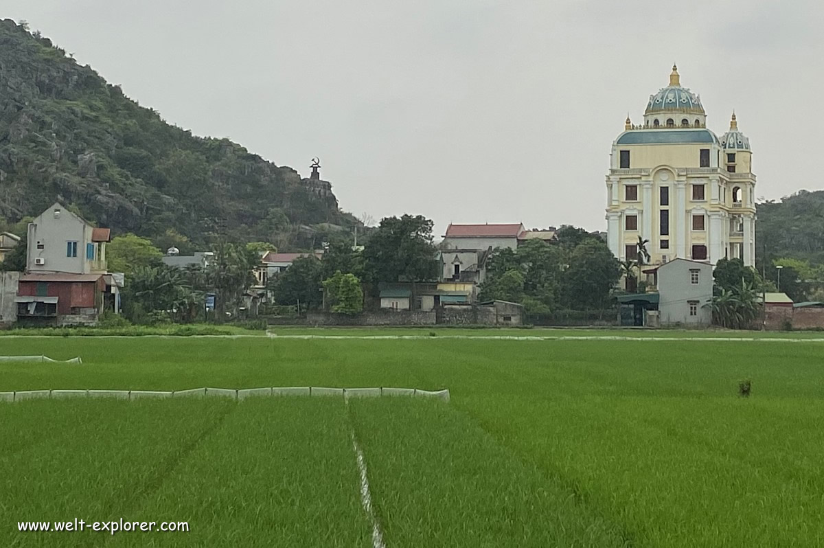 Reisfeld in Vietnam