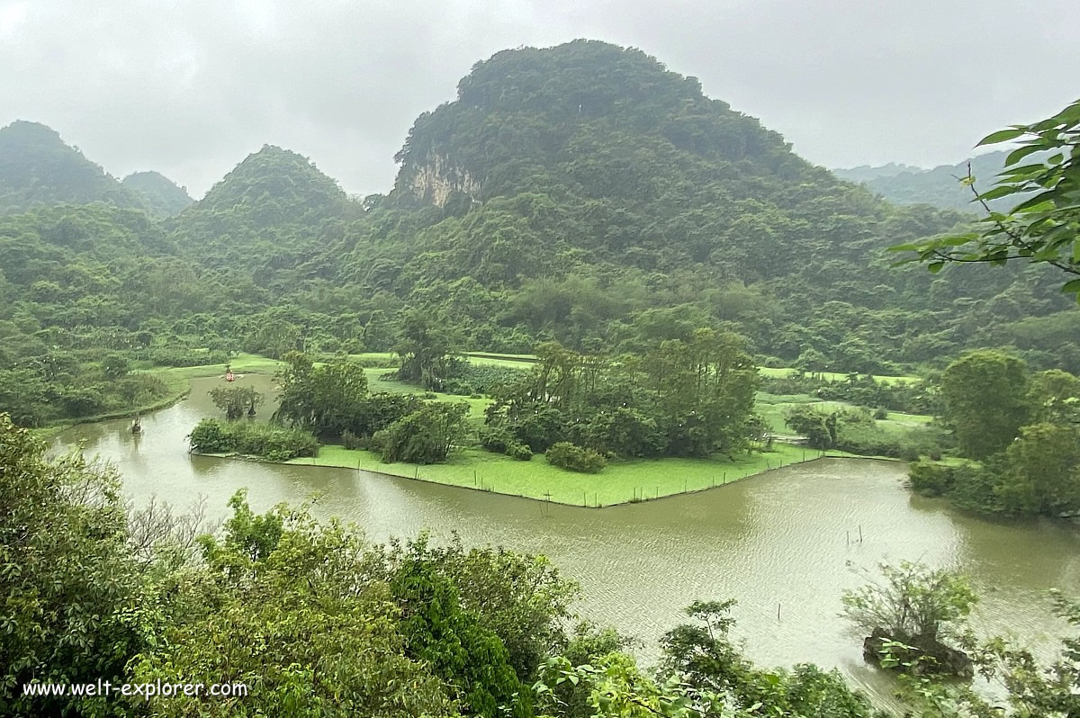 Bird Garden in Ninh Binh