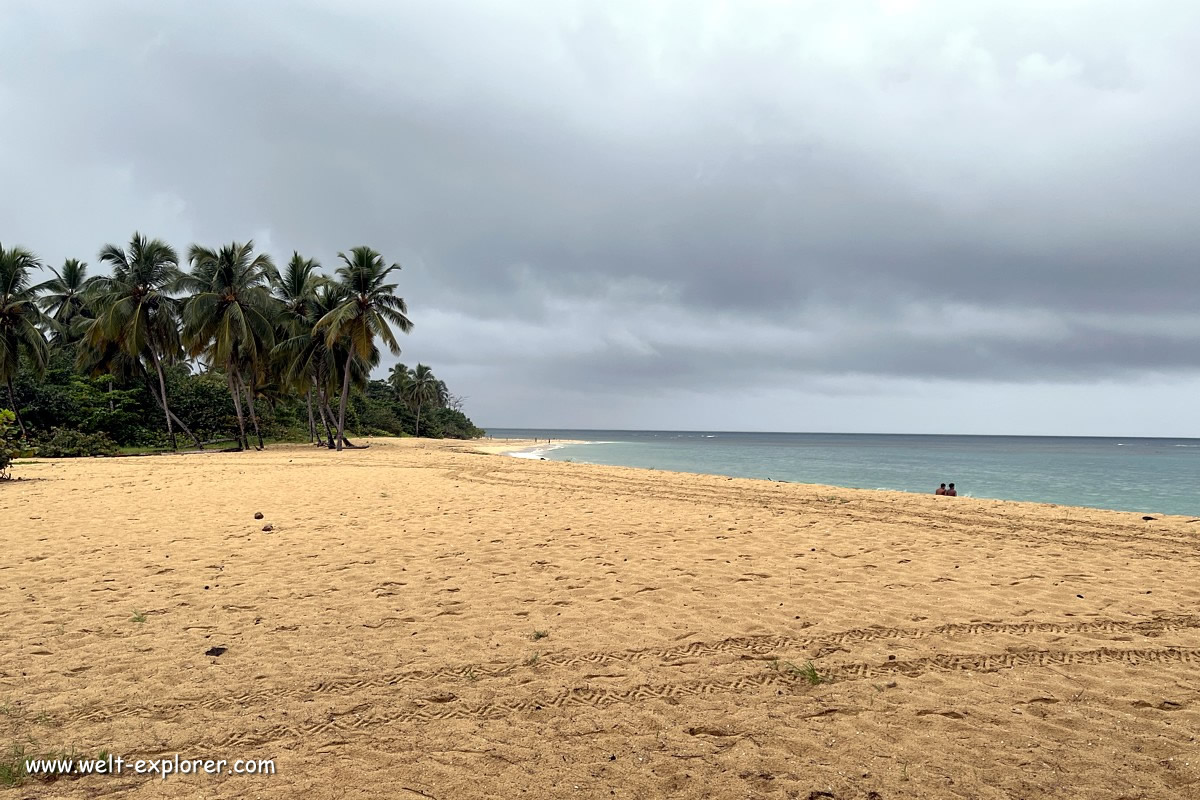 Karibischer Strand auf der Halbinsel Samana