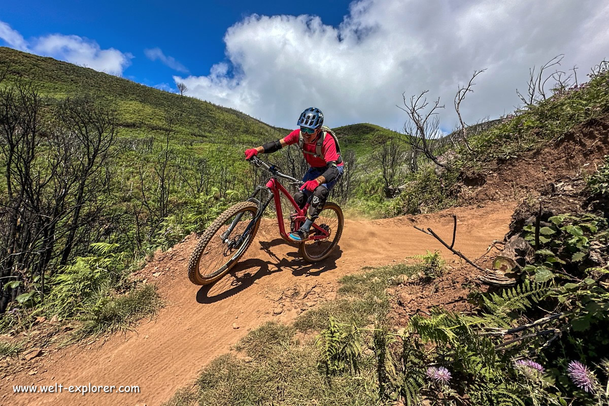 Mountainbike Trails und Downhill auf Madeira