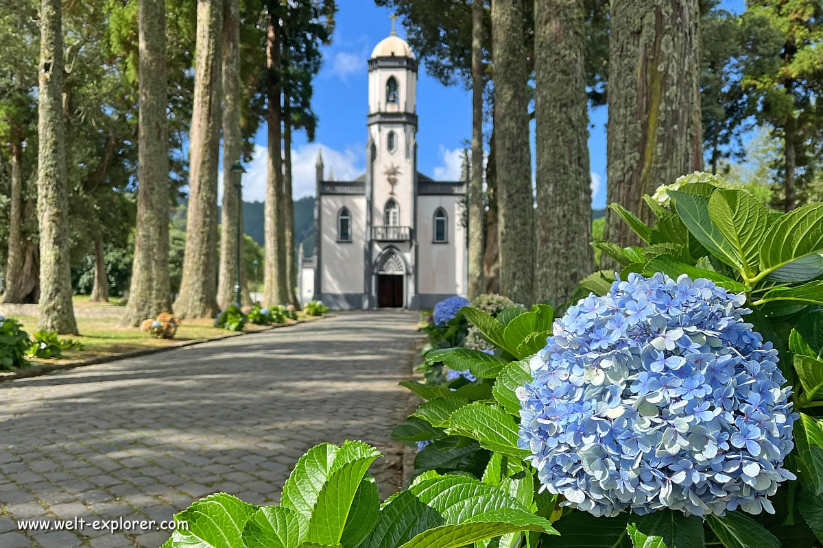 Hortensien verzieren die Insel Sao Miguel