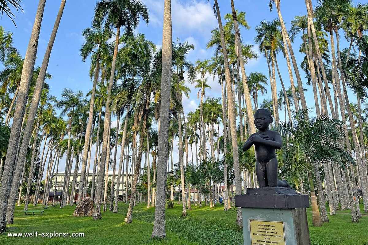 Palmentuin Park in Surinames Hauptstadt Paramaribo