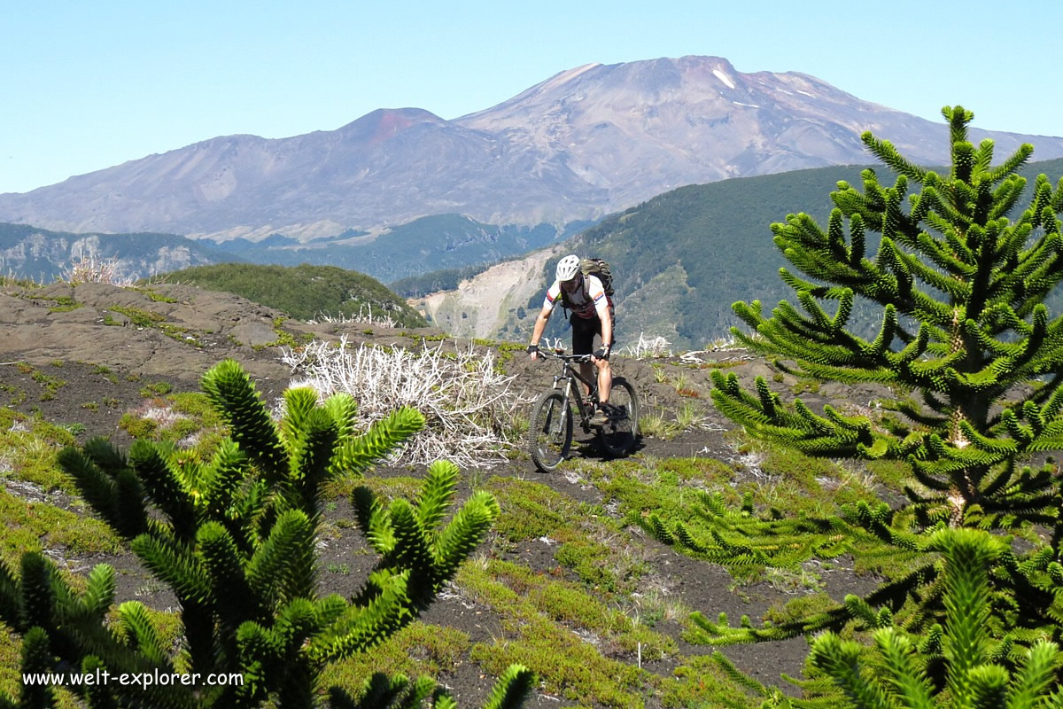 Mountainbike Tour im Nationalpark Villarica